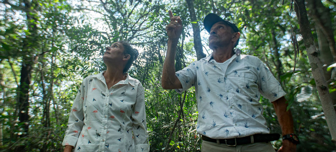 Colombian conflict survivors turn forest heroes in search of climate